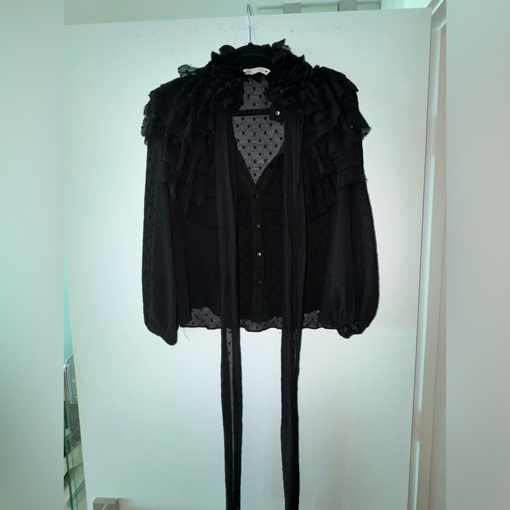 Zara Black Sheer Blouse